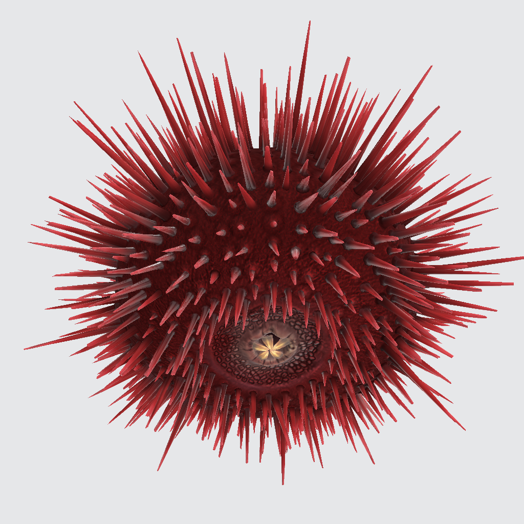 Red sea urchin