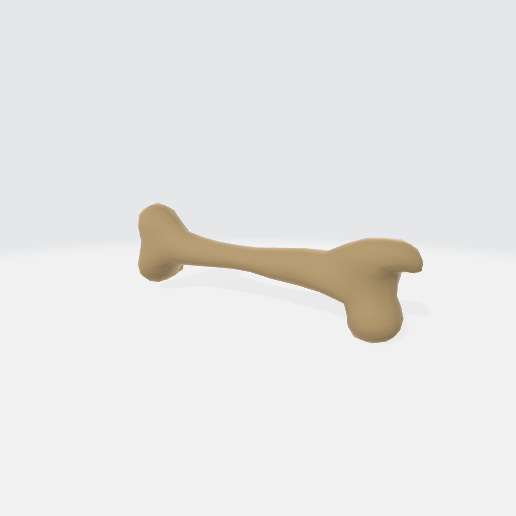 Bone