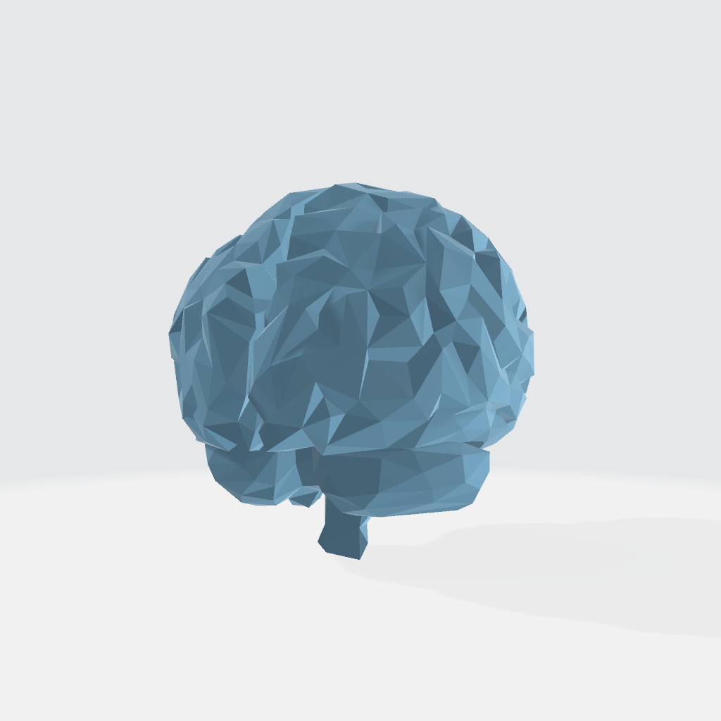Brain