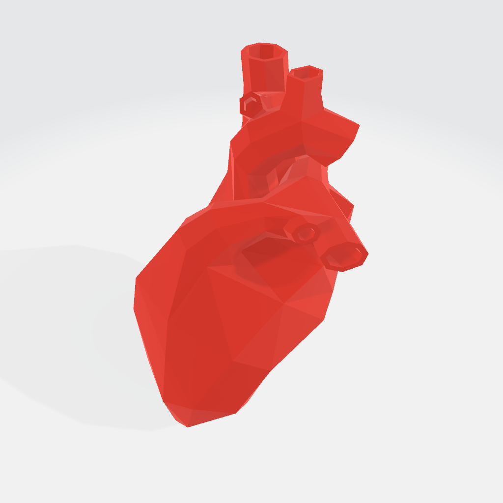 Heart