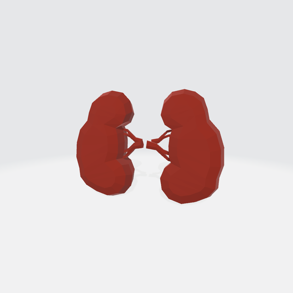 Kidneys