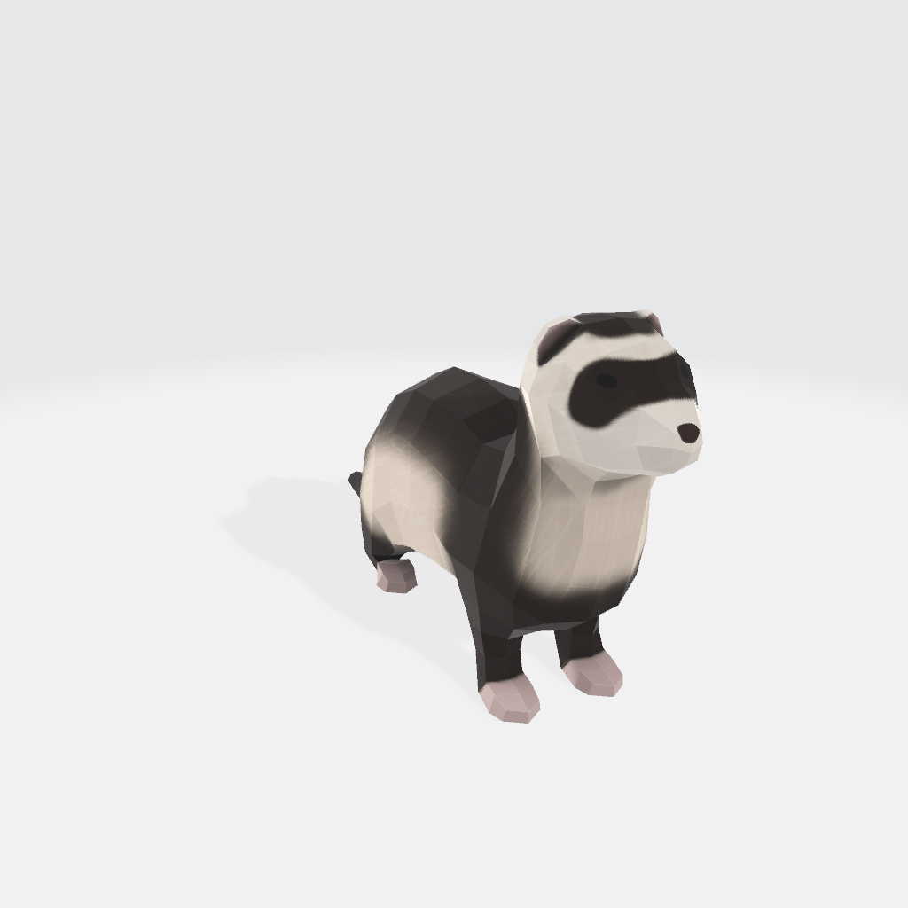 Ferret