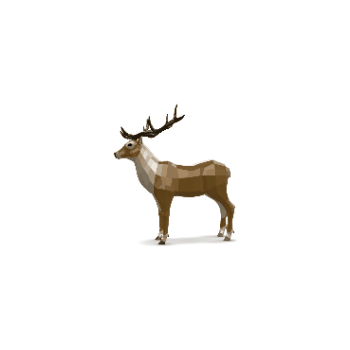 3D Model Rotation