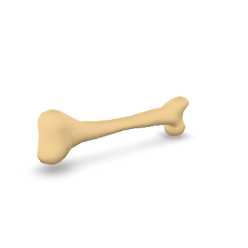3D Model Rotation