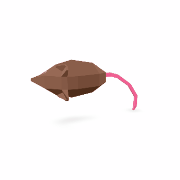 3D Model Rotation