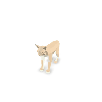 3D Model Rotation