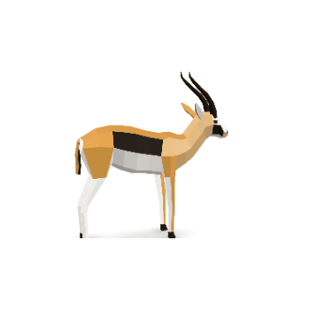 3D Model Rotation