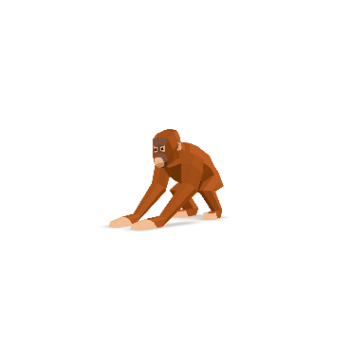 3D Model Rotation