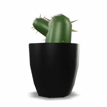 3D Model Rotation