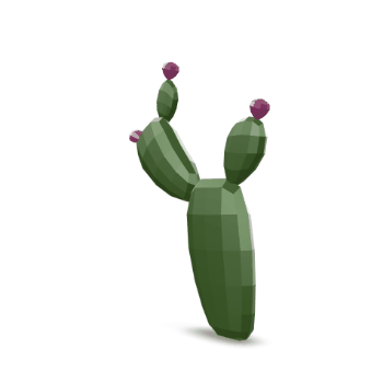 3D Model Rotation