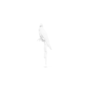 3D Model Rotation