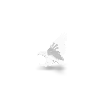 3D Model Rotation