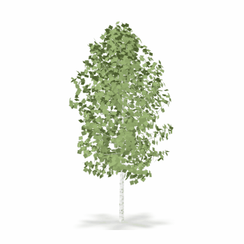 3D Model Rotation