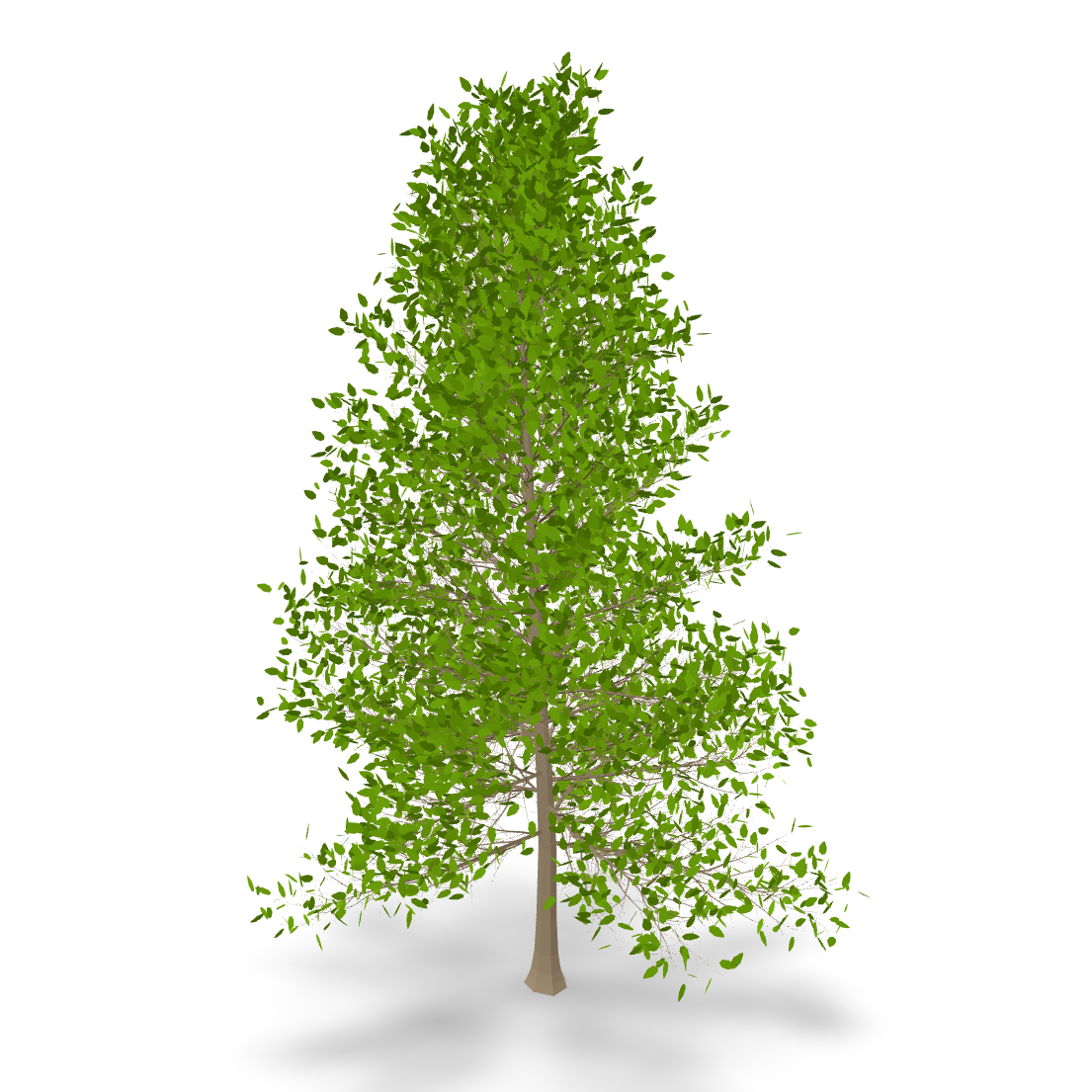 Detailed Summer Tree 3D