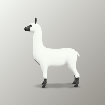 3D Model Rotation