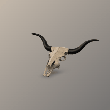 3D Model Rotation