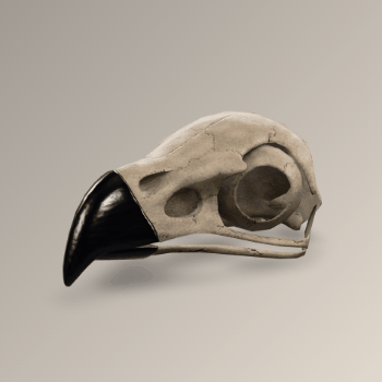 3D Model Rotation