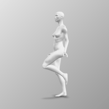 3D Model Rotation