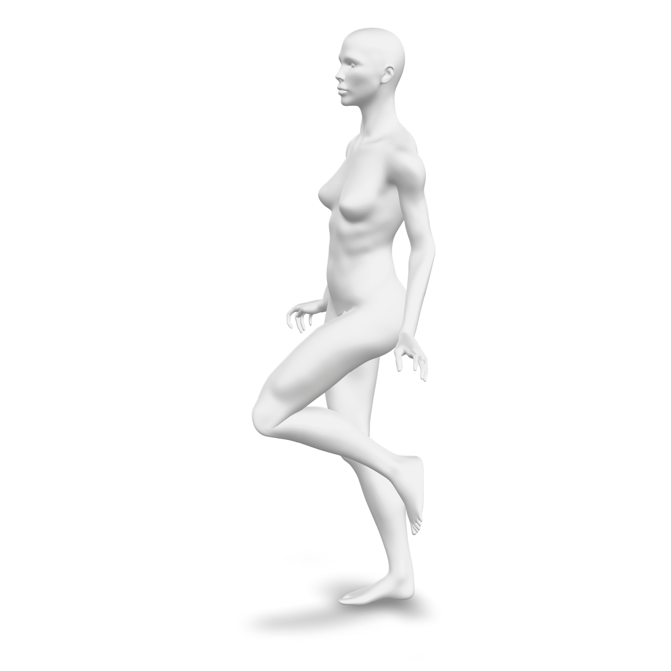 Female Mannequin 3D Model