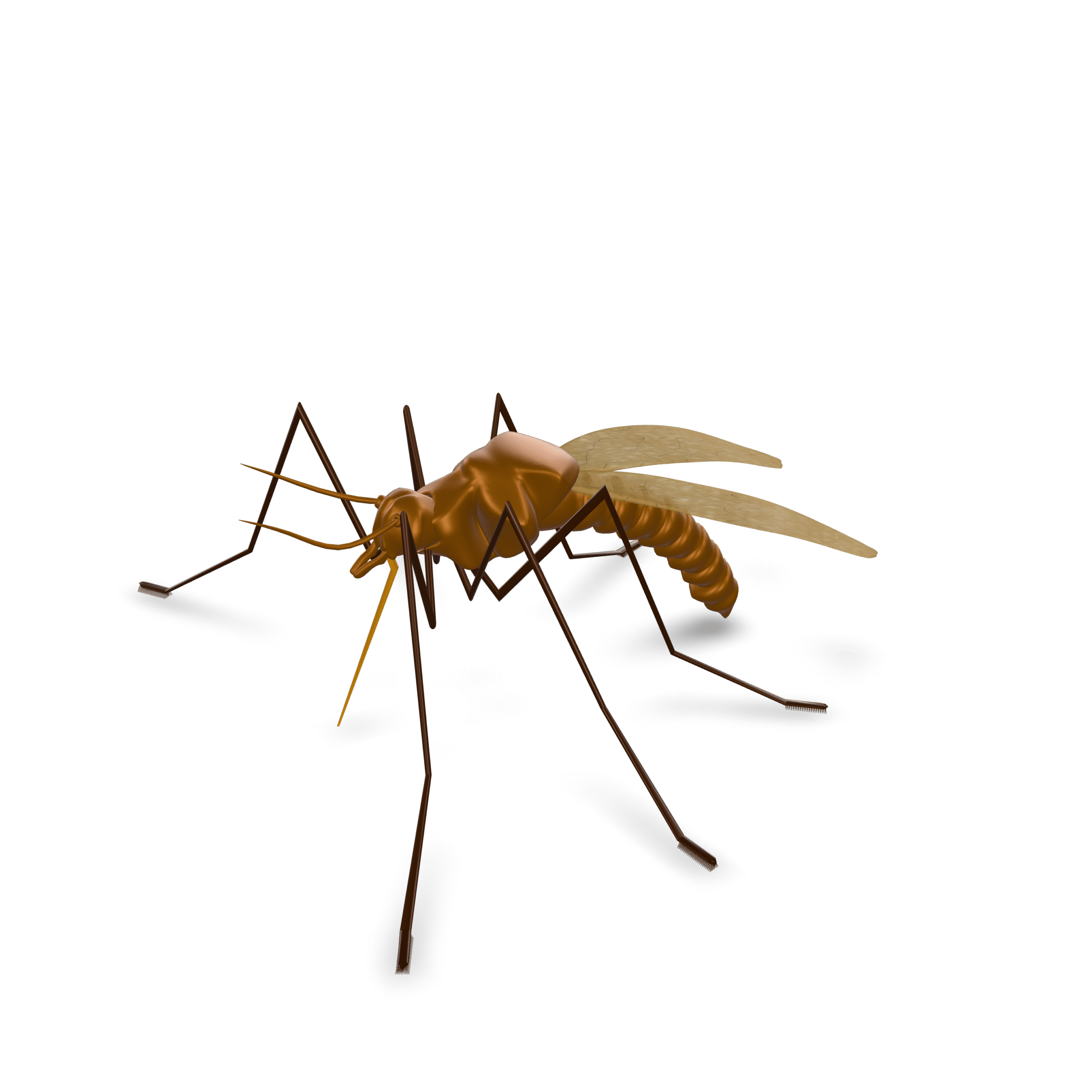 Animated Mosquito 3D Model