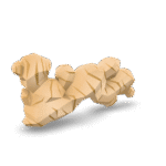 Stylized Ginger Root 3D Model