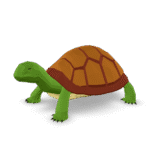 Low Poly Turtle 3D Model