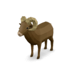 Low Poly Ram 3D Model