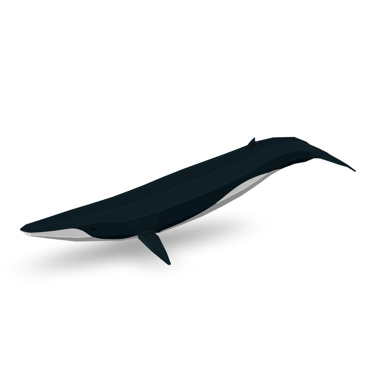 Low Poly Whale 3D Model