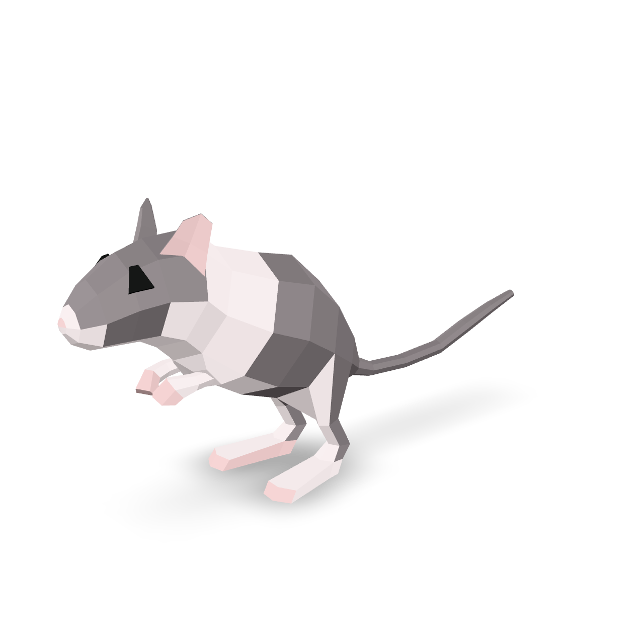 Low Poly Rat 3D Model